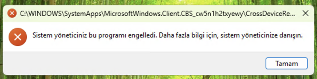 Pilot testte beklenmedik biçimde engellenen Windows sistem bileşeni.